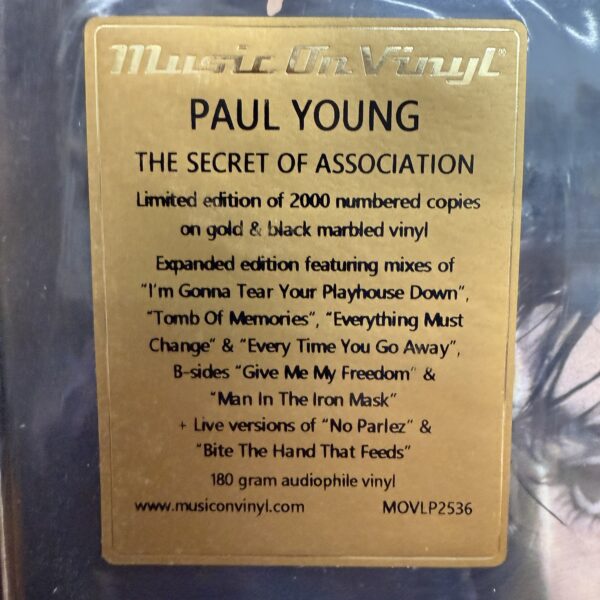Paul Young / The Secret of Association - Imagen 2
