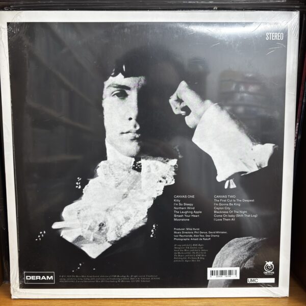 Cat Stevens | new masters - Imagen 2