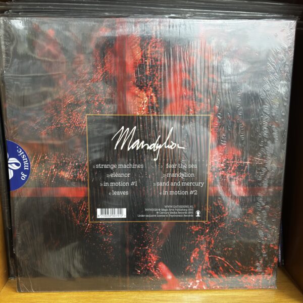 The Gatheting | Mandylion - Imagen 2