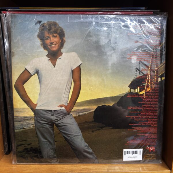 Andy Gibbs | greatest hits - Imagen 2