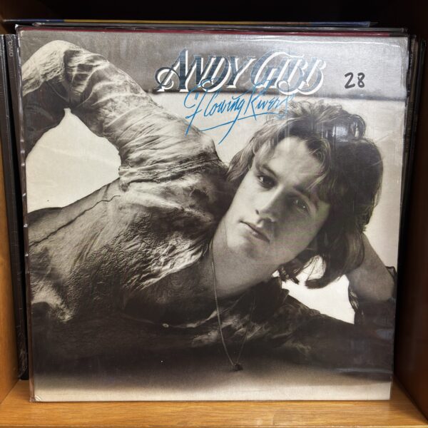 Andy Gibb | flowing rivers
