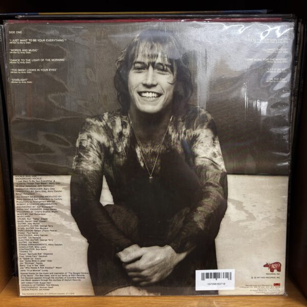 Andy Gibb | flowing rivers - Imagen 2