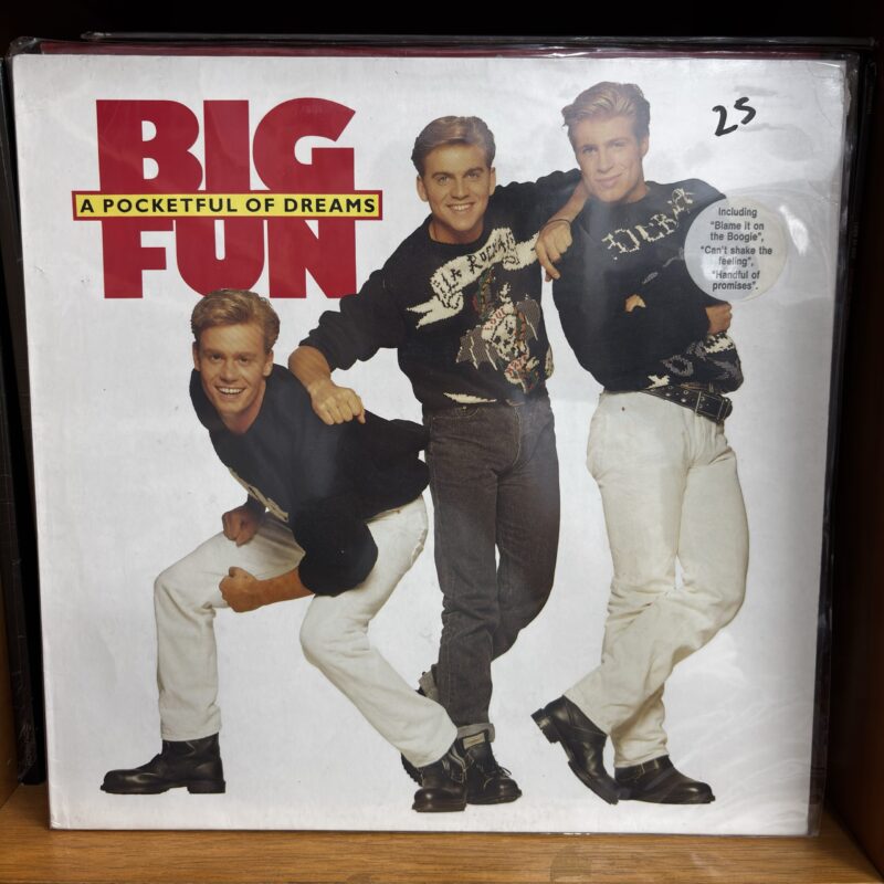 Big Fun | a pocketful of dreams