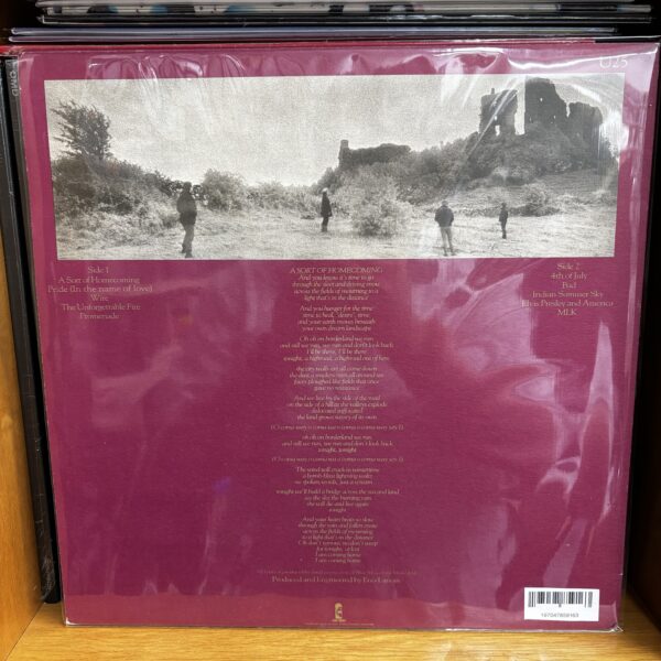 U2 | the untorgettable fire - Imagen 2