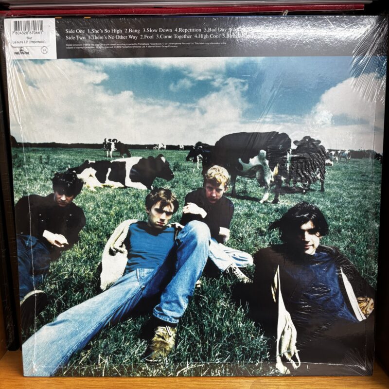 Blur | leisure - Imagen 2